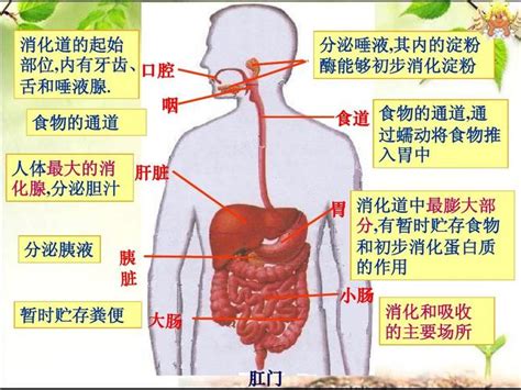 在什麼位置做什麼事|你內心的位置有多高，決定了你職場的高度